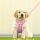 Puppy Vest *SET*