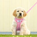 Vest Geschirr curli Clasp Air-Mesh Pink-Caro