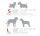 Dog Lead Basic Classic