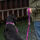 V3 Freestyle Leash