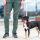V3 Rope Leash