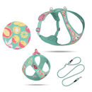 CLASP VEST AIR-MESH LE26