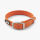 Urban Classic™ Collar